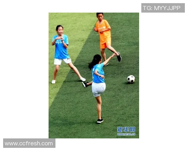 足球的包子：在绿茵场上演绎的美味与激情交融的故事