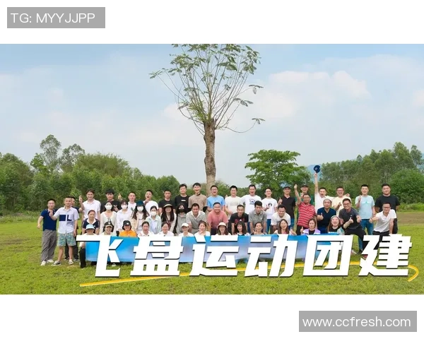 飞盘盛宴：深入武汉飞盘队探寻团队力量与激情的秘密